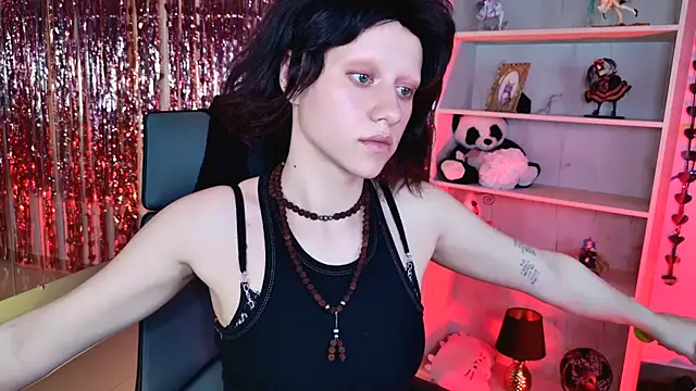 LidaDarknet webcam