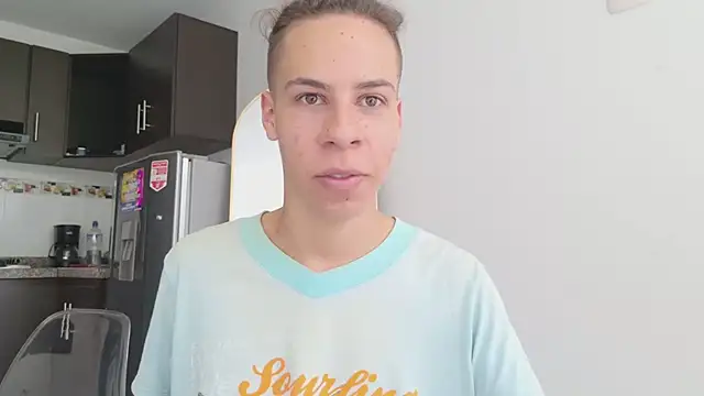 grey___27 webcam