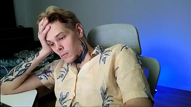 DENIS_HERE webcam