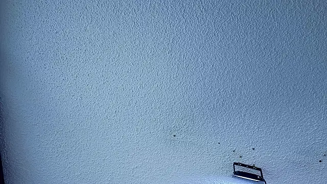 valeriavg webcam
