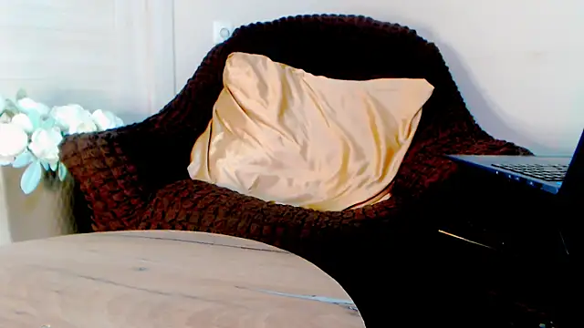 Live_View webcam