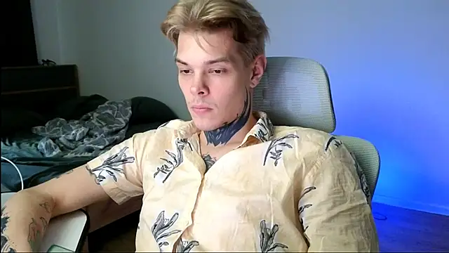 DENIS_HERE webcam