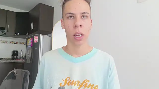 grey___27 webcam