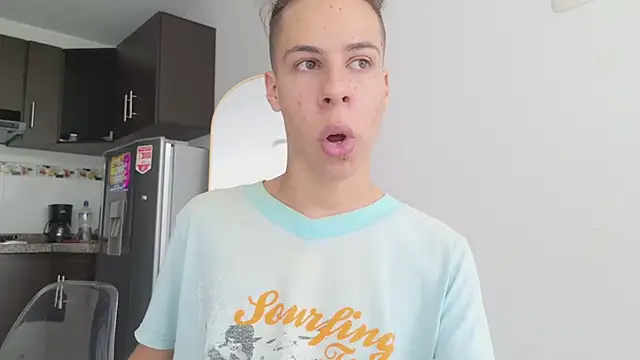 grey___27 webcam