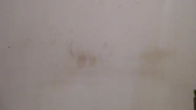 xSATIVAx webcam