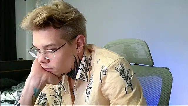 DENIS_HERE webcam