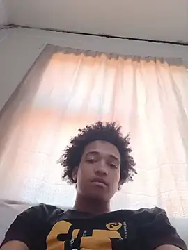 TheRiseOfDick webcam