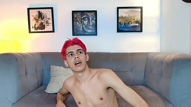 TWINKS_FRIENDS webcam