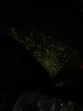 anhkiet_huang webcam