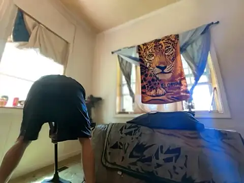 ThrowedWorldWide webcam