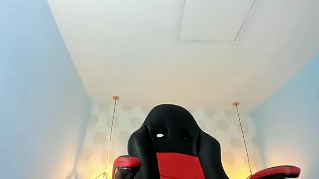 VENUSGREYS1 webcam