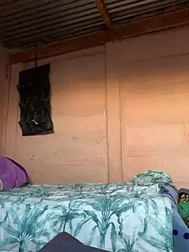 taitaimont webcam