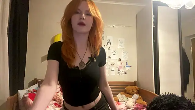 DynaLoom webcam