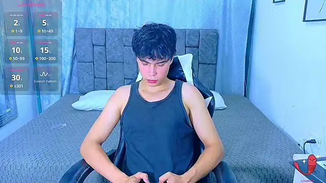 Dantekent webcam