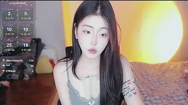 Ennaily webcam