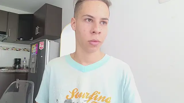 grey___27 webcam