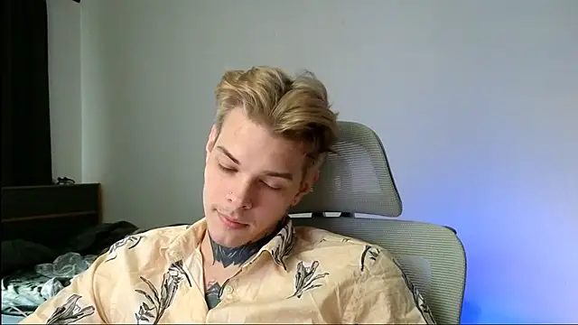 DENIS_HERE webcam