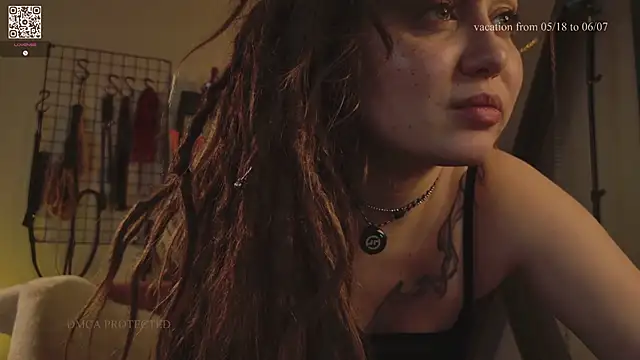 VortexProject webcam