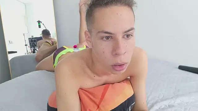 grey___27 webcam
