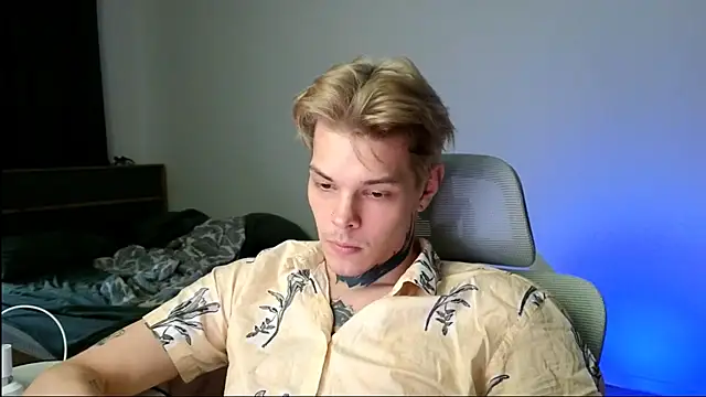 DENIS_HERE webcam