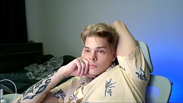 DENIS_HERE webcam