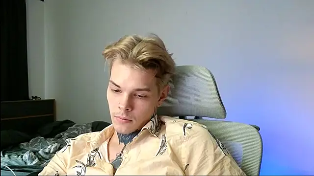DENIS_HERE webcam