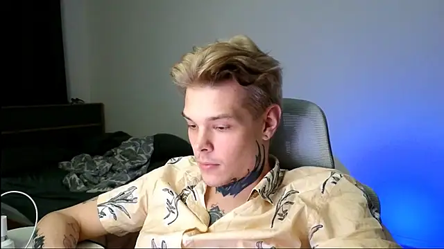 DENIS_HERE webcam