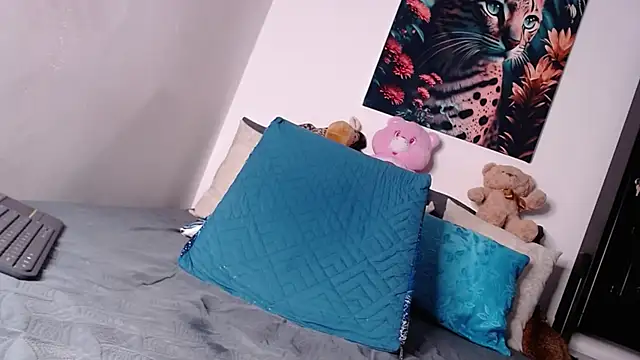 SINDYC webcam