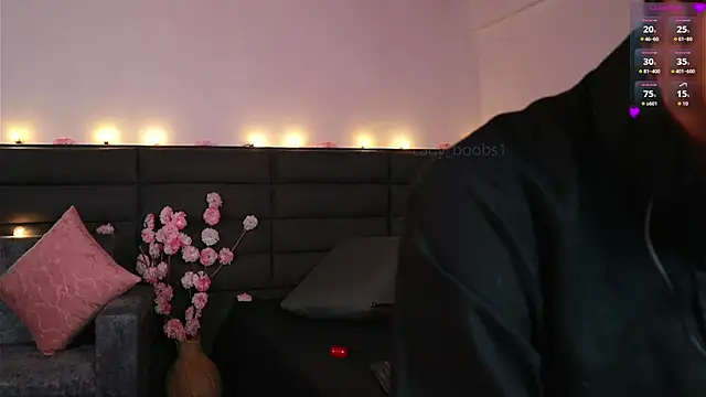 kathieandpovcock1 webcam