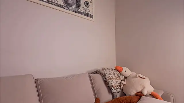 Appr0ved_ webcam