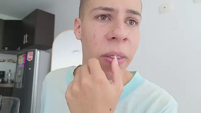 grey___27 webcam