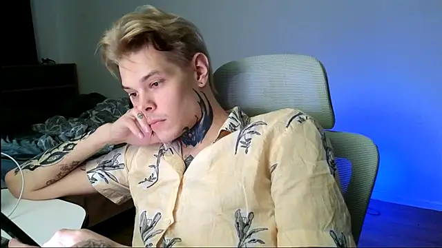 DENIS_HERE webcam