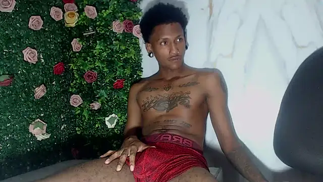 ManSant webcam
