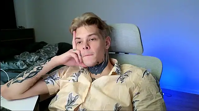 DENIS_HERE webcam