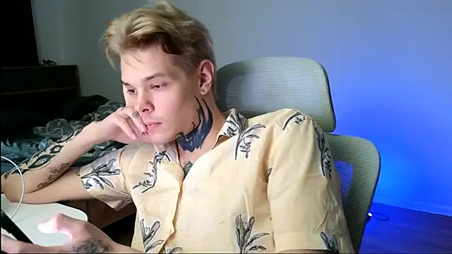 DENIS_HERE webcam