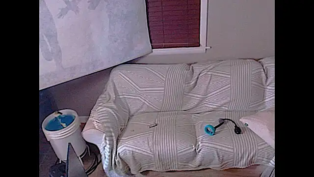 studlyhardwoodd webcam