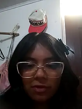 VaneMoon webcam