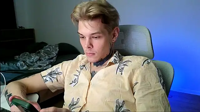 DENIS_HERE webcam