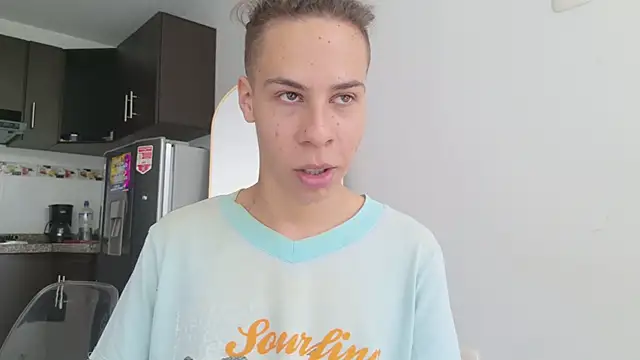 grey___27 webcam