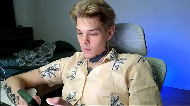 DENIS_HERE webcam