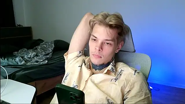 DENIS_HERE webcam