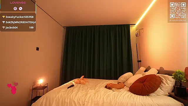 bogduzy webcam