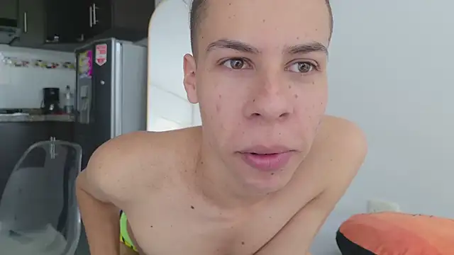 grey___27 webcam