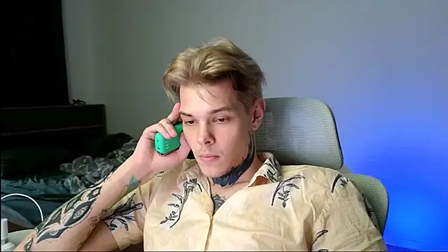 DENIS_HERE webcam
