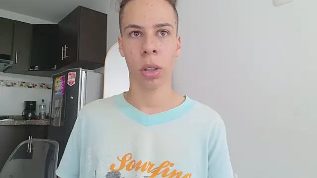 grey___27 webcam