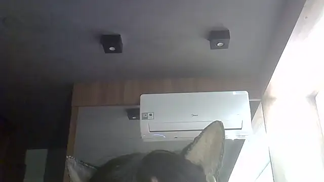 SkinnyKitten webcam
