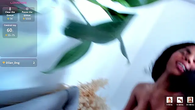 DakotaStills_ webcam
