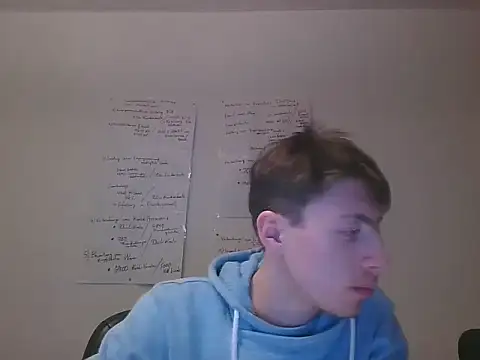 Preview of velvetragottiog
