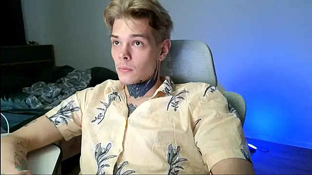 DENIS_HERE webcam