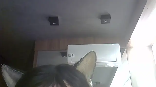 SkinnyKitten webcam